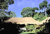 Hotel Jungle Lodge, Tikal Guatemala